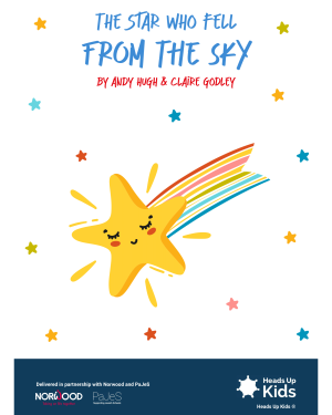 Year 1 Additional Programme Book – The Star Who Fell From the Sky