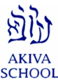 Akive Logo